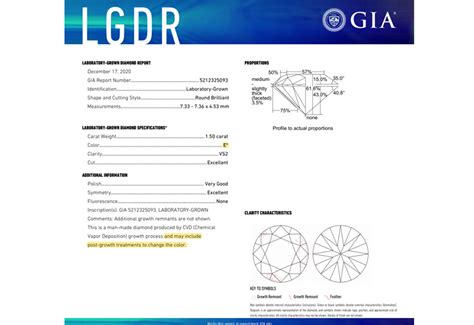 恋人気分川崎|Diamond Report 